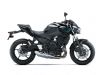 Kawasaki - 2021 Z650L